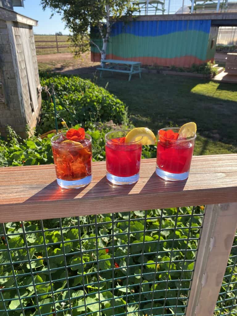 Cocktails at the FireWorks Feast on Prince Edward Island, Canada 