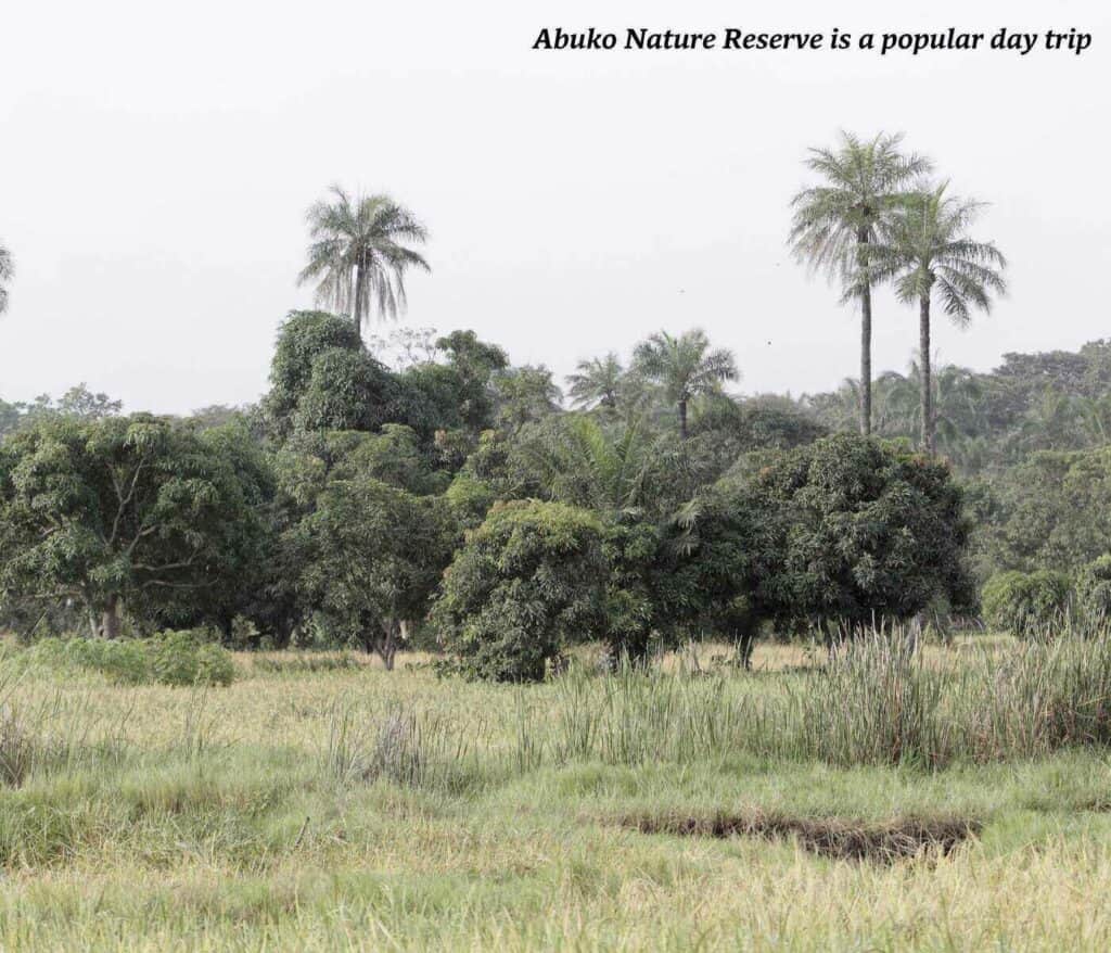 Abuko Nature Reserve in The Gambia