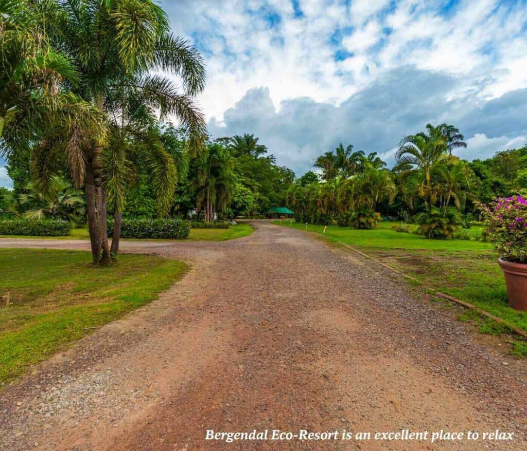 Bergendal Eco-Resort in Suriname