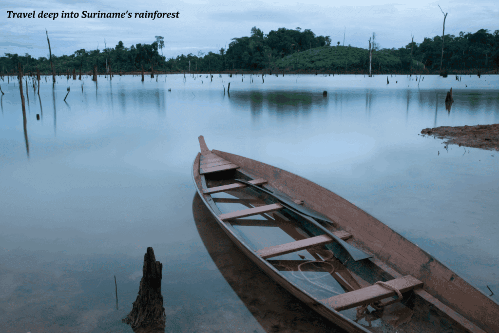 Small boat on a river in Suriname's interior rainforest