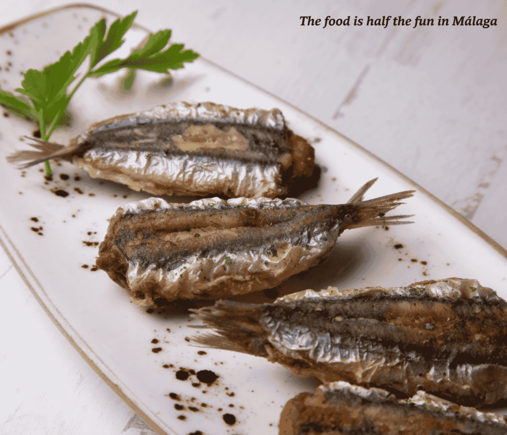 Plate of boquerones in Málaga, Spain