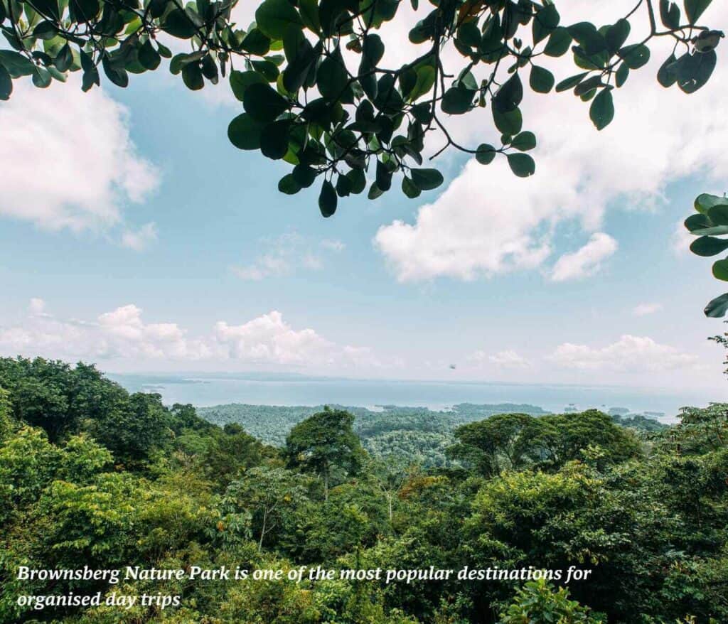 Brownsberg Nature Park in Suriname