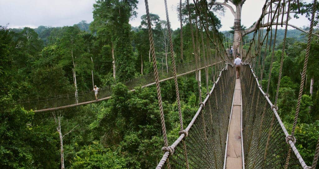 Canopy walkway in Kakum National Park in Ghana