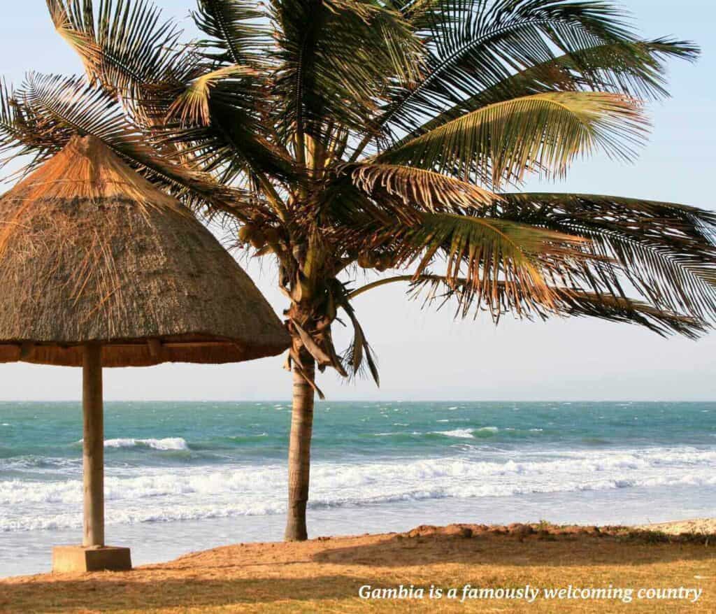 Palm trees blowing in the wind on a beach in The Gambia