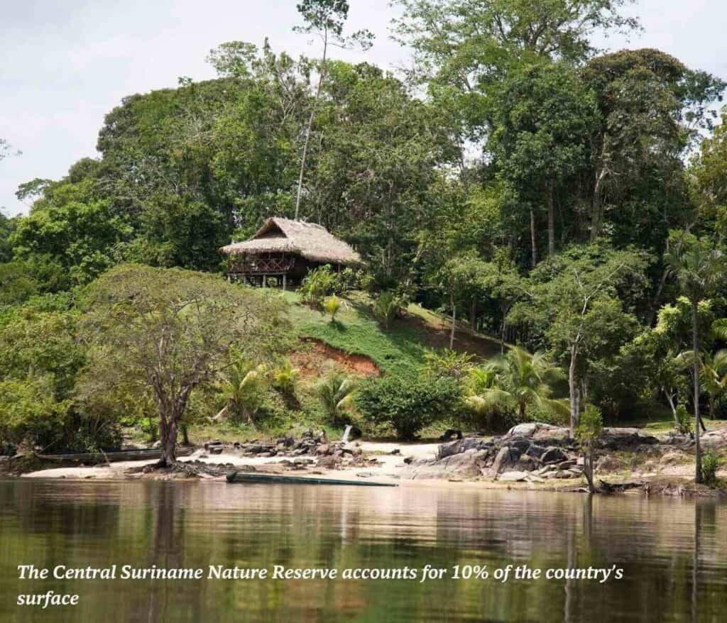Central Suriname Nature Reserve