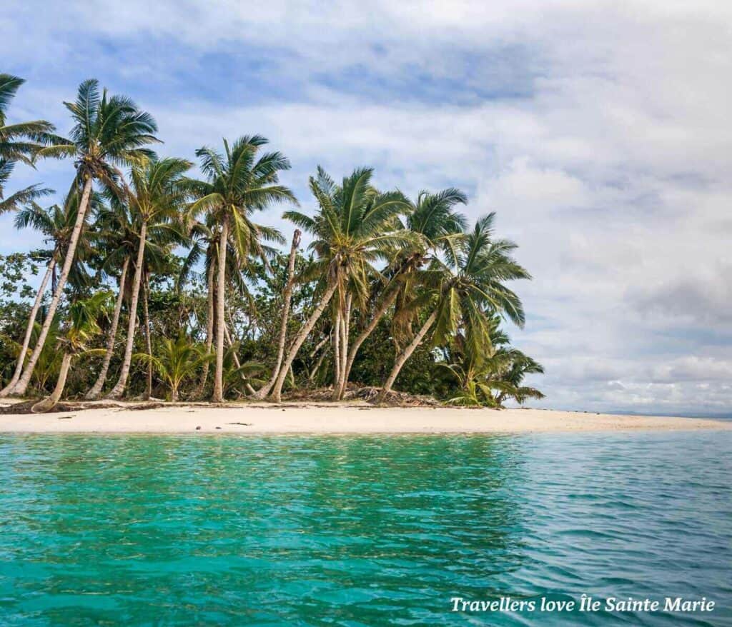 Palm trees on Ile Sainte Marie in Madagascar