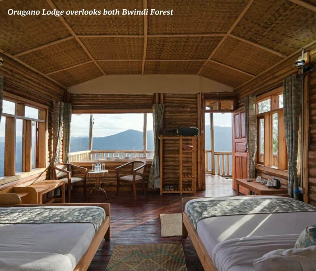 Room at the Orugano Lodge in Uganda