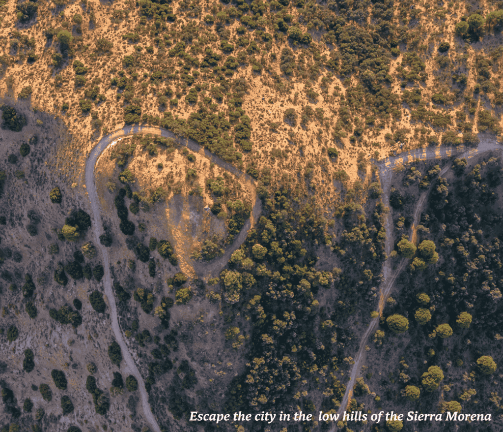 Rural landscape of Sierra Morena in Seville, Spain