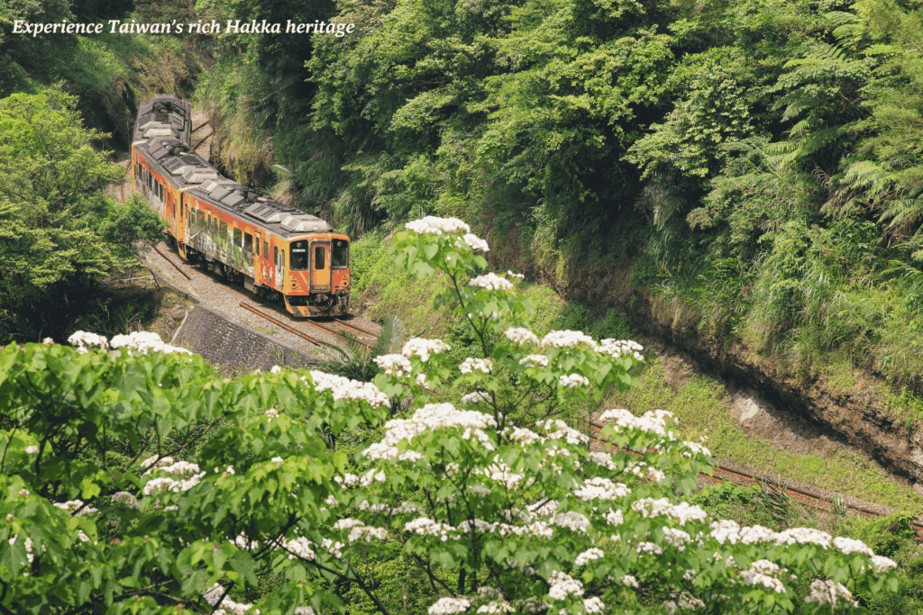 Train travelling through the Miaoli region in Taiwan