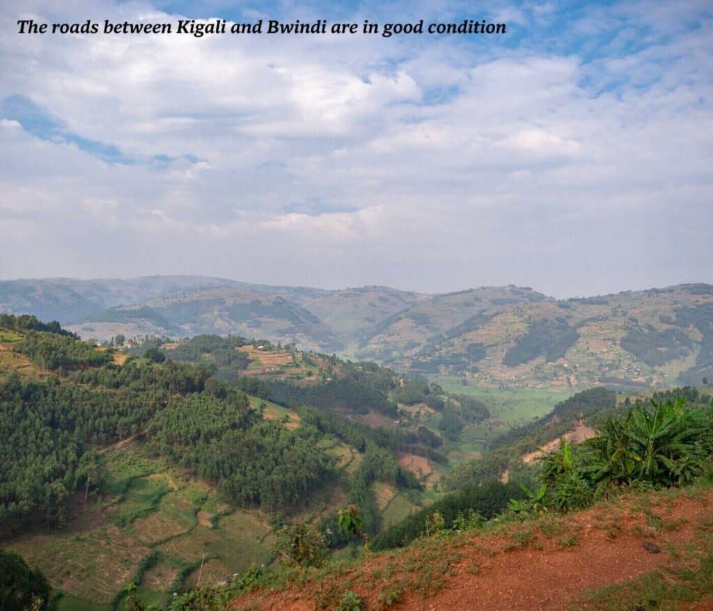 Views over Bwindi Impenetrable Forest in Uganda