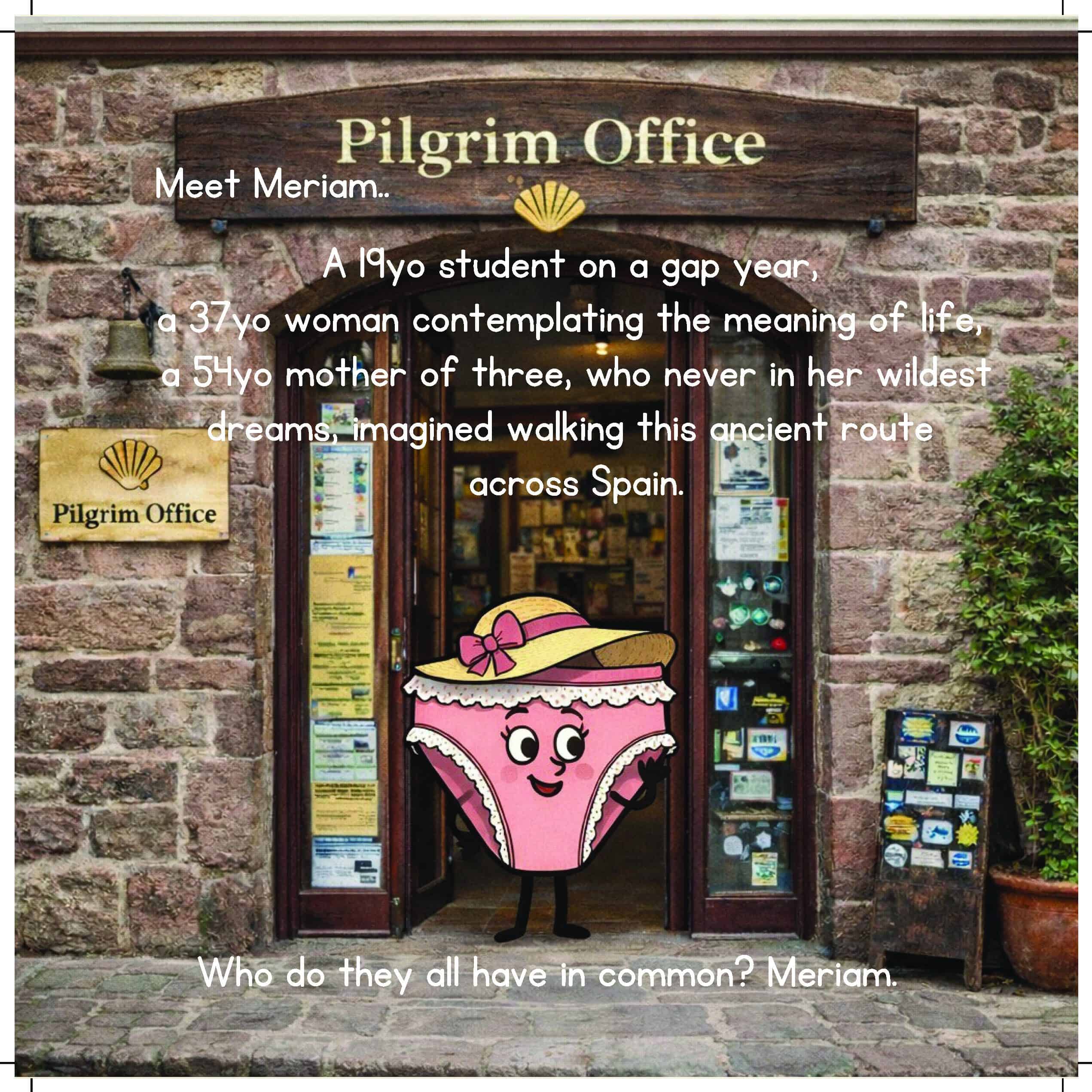 Meriam and Oden's Guide to Walking the Camino (Journey Books) - Image 3