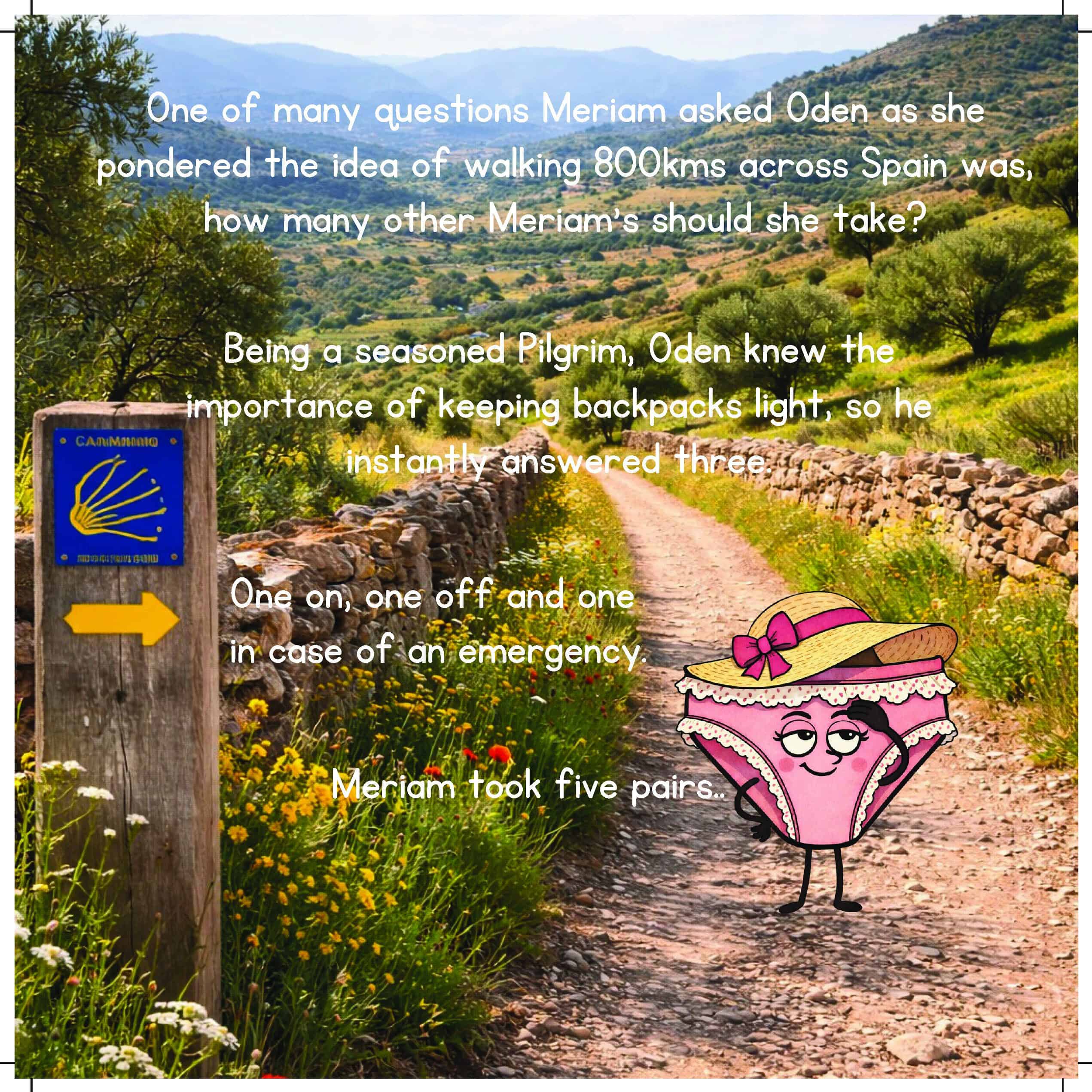 Meriam and Oden's Guide to Walking the Camino (Journey Books) - Image 6