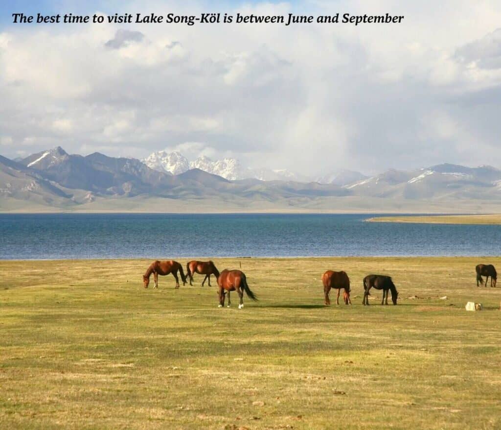 Horses on the shores of Lake Song-Köl in Kyrgyzstan