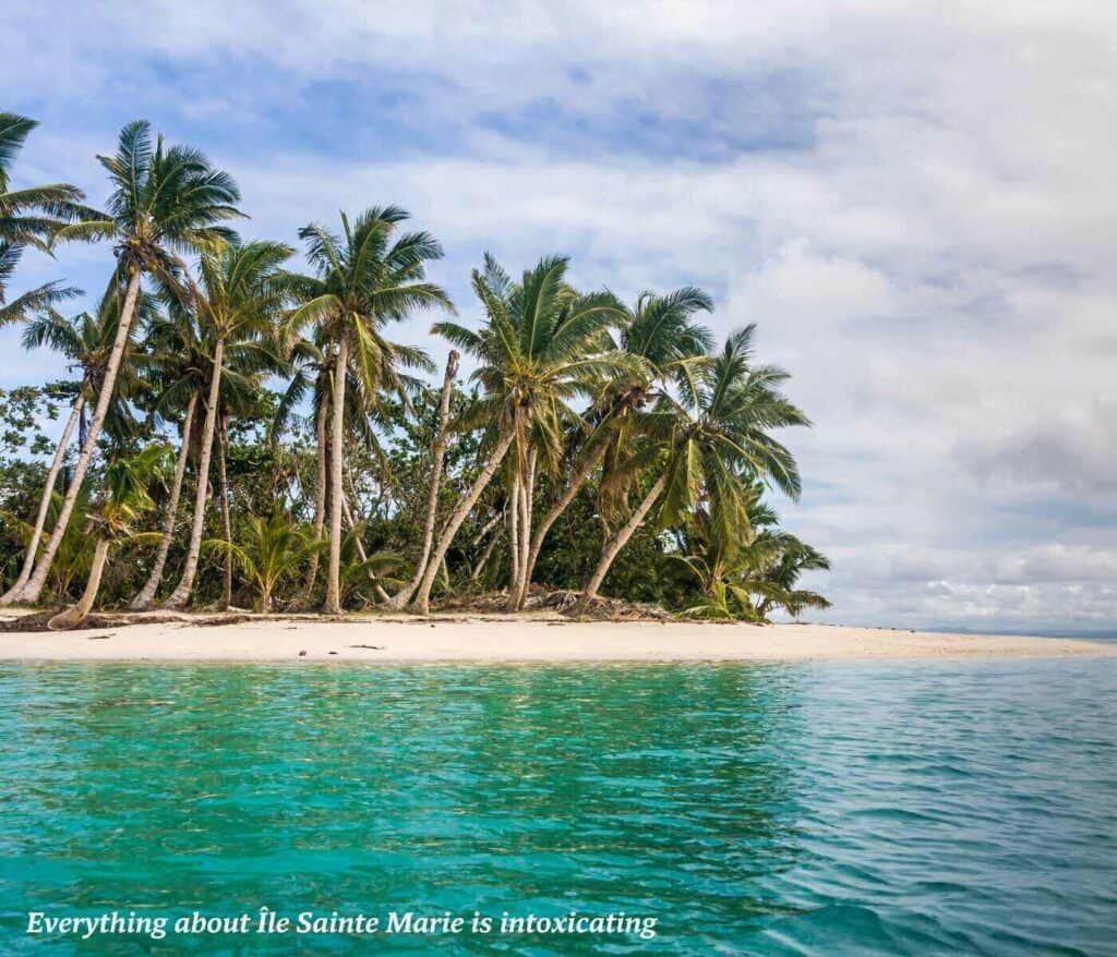 Palm trees on Ile Sainte Marie, Madagascar