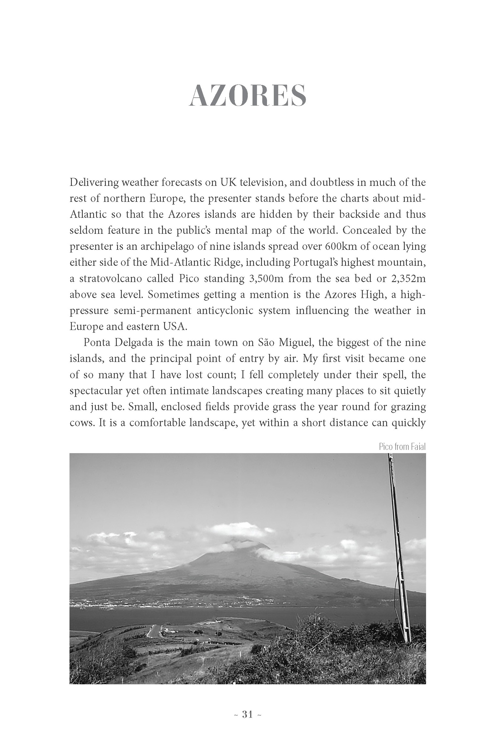 A Botanical Odyssey (Journey Books) - Image 3