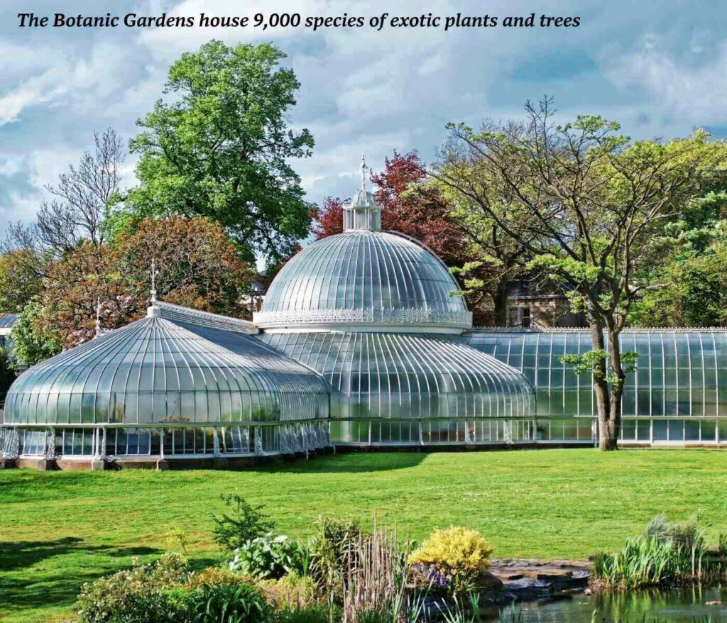 Greenhouse in the Glasgow Botanic Gardens, Scotland