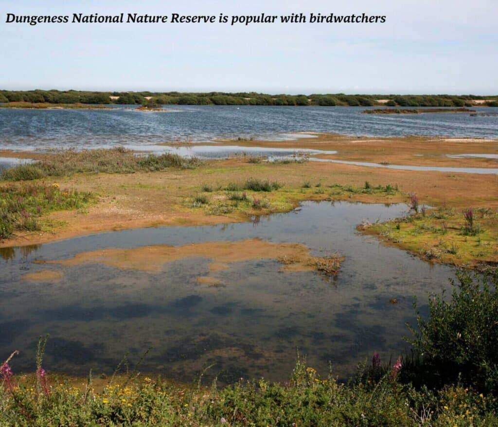 Wetlands at the Dungeness National Nature Reserve in Kent, England