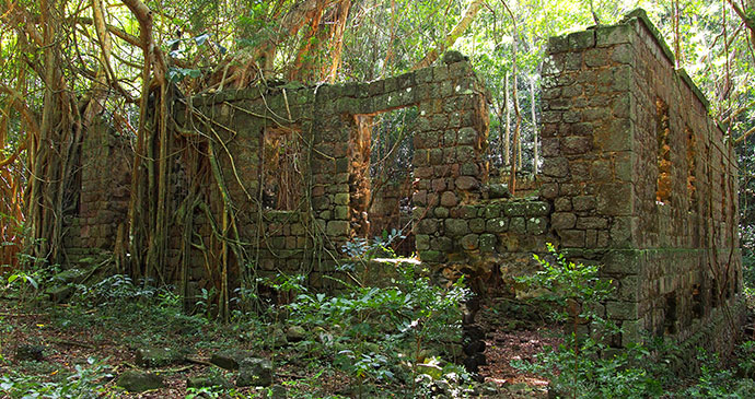 The 18th-century Fort Shirley garrison ruins in the Cabrits National Park  © Paul Crask