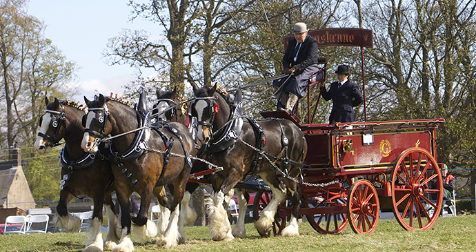 Festival of the Heavy Horse Northumberland by Hay Farm Heavy Horse Festival best family days out england