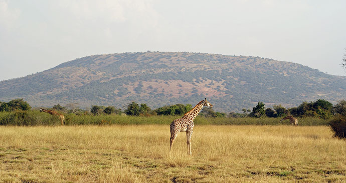 Akagera National Park © Sarah Hall/African Parks