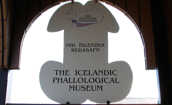 Icelandic Phallological Museum Rekyjavil Iceland by Wikimedia Commons