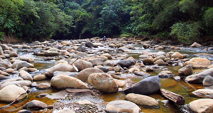 Jacko Steps Hiking trail © Paul Crask