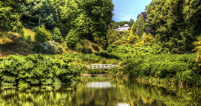 Trebah Garden Cornwall England UK by Rolf E. Staerk Shutterstock