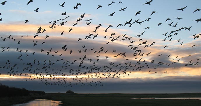 WWT Caerlaverock Wetland Centre © Brian Morrell