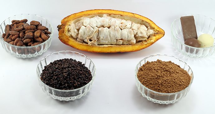 Chocolate ingredients, Grenada © Sandro Salamon, Shutterstock