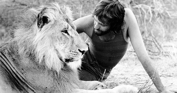 Christian the Lion by Derek Cattani 