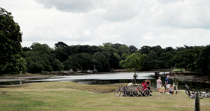 Scenic Views of the Beaulieu River New Forest England by Emily Laurence Baker