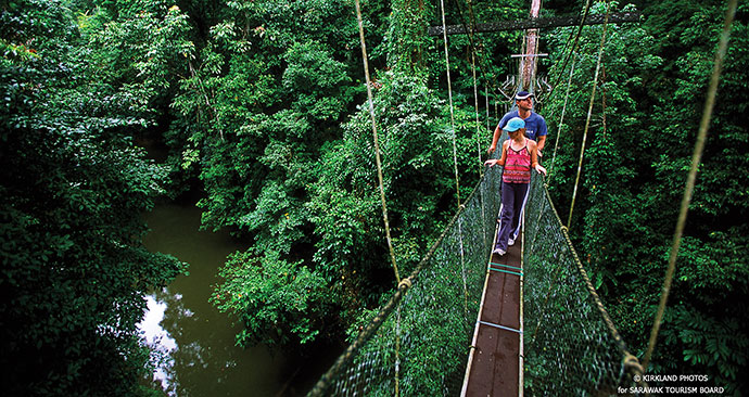 Bridge, Danum Valley, Sabah, Malaysia, Borneo, Asia by Sabah Tourism