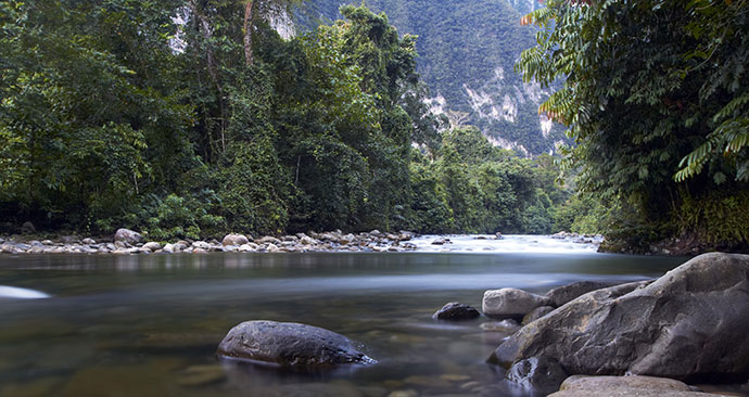 Gunung Mulu National Park, Sarawak, Malaysia, Borneo, Asia, Kim Briers, Shutterstock