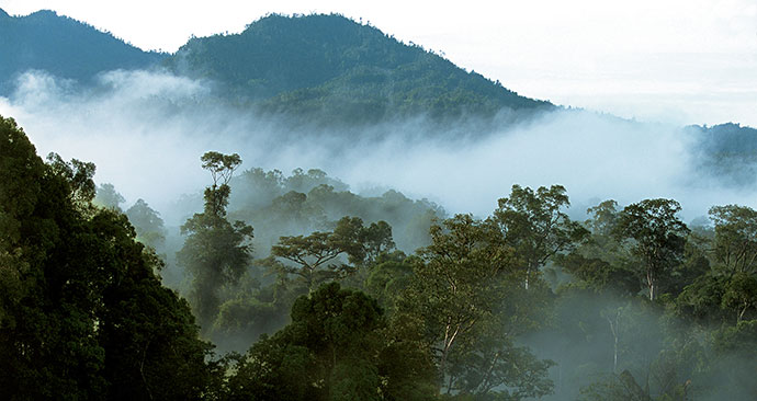 Ulu Temburong National Park, Brunei, Borneo, Asia by Sarawaktourism 