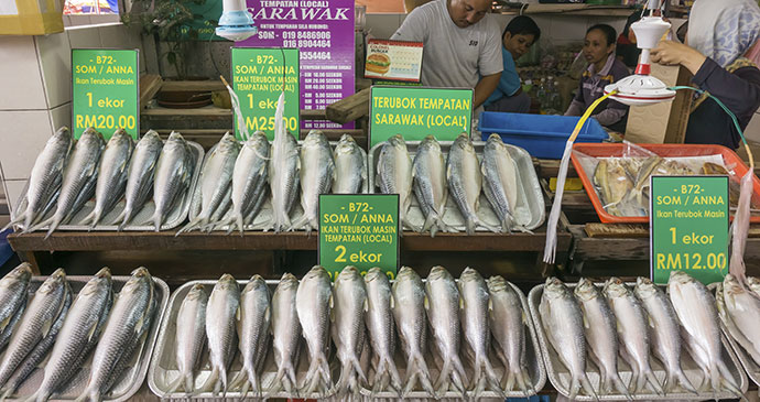 Salted terubok, Brunei, Asia byalphonsusjimos