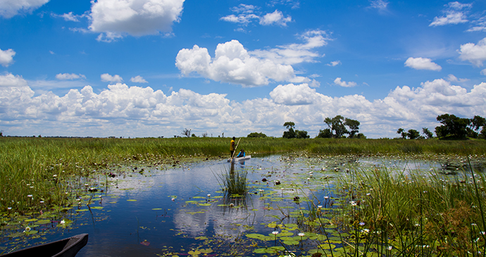 Mokoro trip, Okavango Delta, Hiromi Ito Ame, Shutterstock