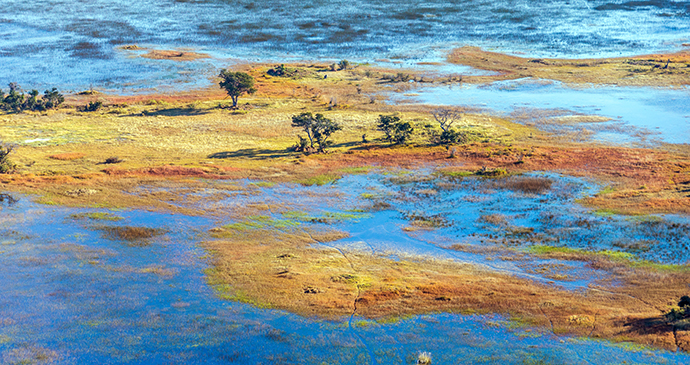 Okavango Delta, Botswana by Vadim Petrakov, Shutterstock