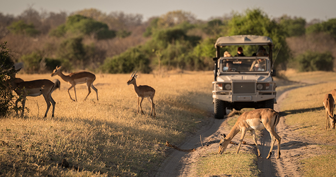vehicle safari, Botswana by Jannelle Lugge, Shutterstock 