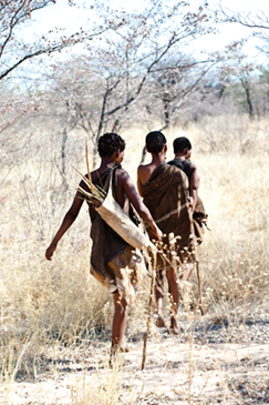 San people, Botswana by marzia franceschini, Shutterstock