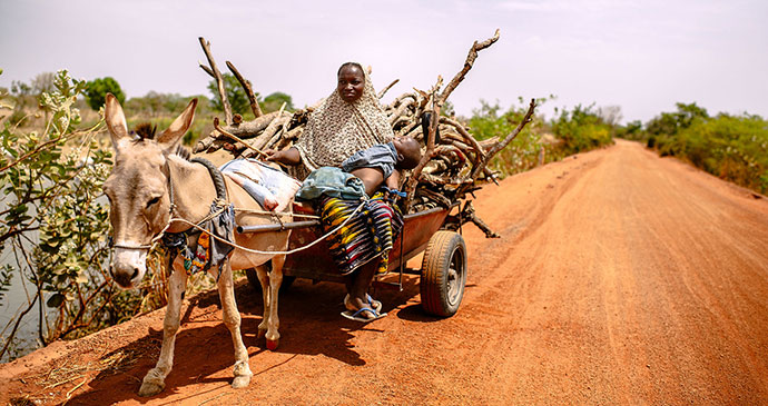 Donkey cart Burkina Faso Africa by Ollivier Girard CIFOR