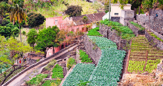Farm cut into the hillside, Santo Antão, Cape Verde