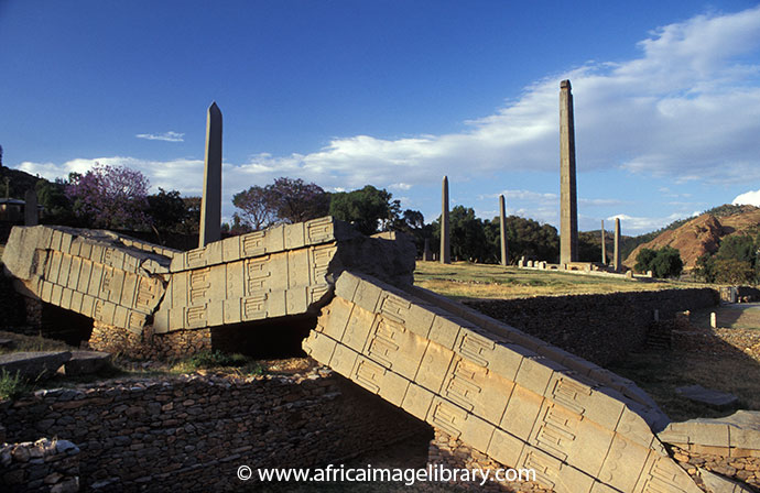 Axum stelae field Ethiopia by Ariadne Van Zandbergen