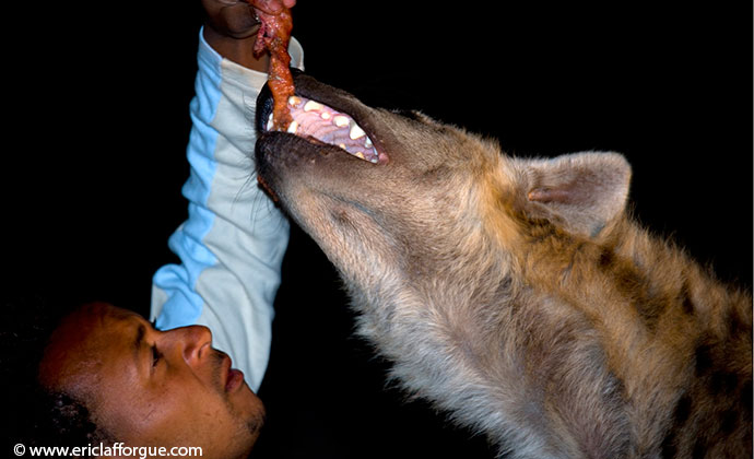 Hyena man Harar Ethiopia by Eric Lafforgue