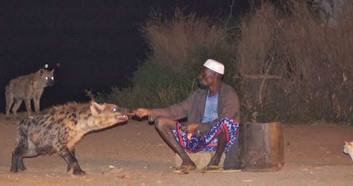 Hyena man Harar Ethiopia by Alan Coogan