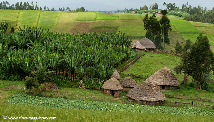 Dodola, Ethiopia by Ariadne Van Zandbergen