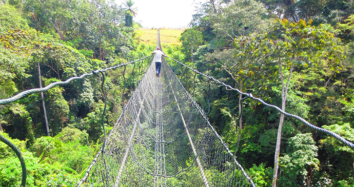 Franceville Lékédi Park Suspended Bridge Gabon by Kapuska Shutterstock