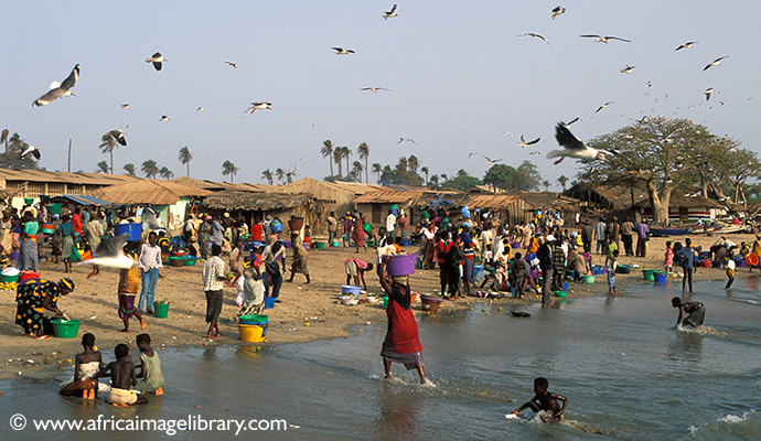 Fish market, Tanji, The Gambia by Ariadne Van Zandbergen