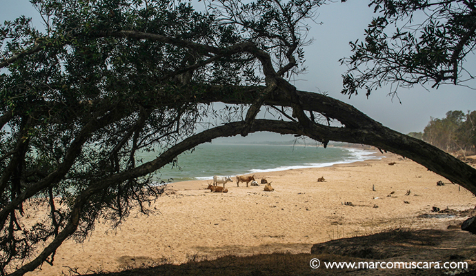 Kartong Beach, The Gambia, by Marco Muscarà, www.marcomuscara.com