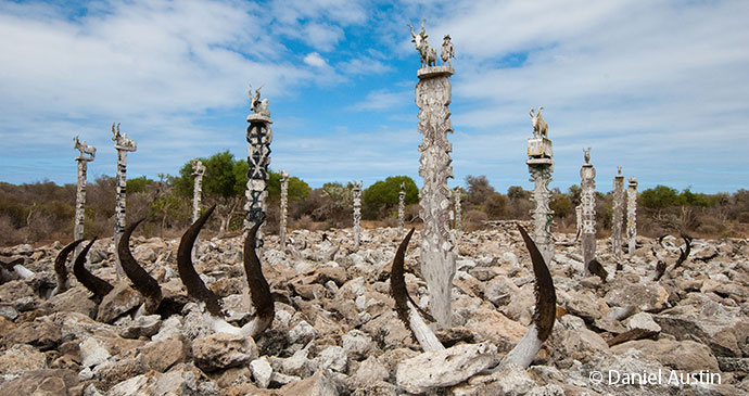 Zebu horns tombs Madagascar by Daniel Austin