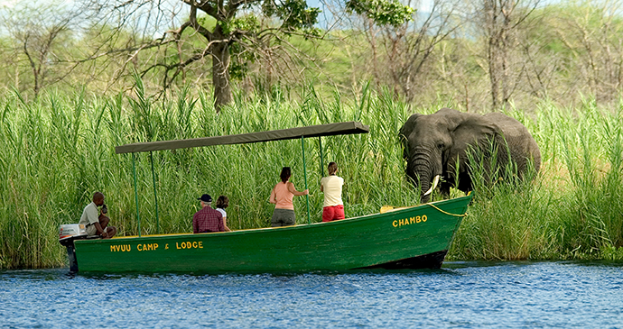 Liwonde National Park, Malawi by Dana Allen, Central African Wilderness Safaris